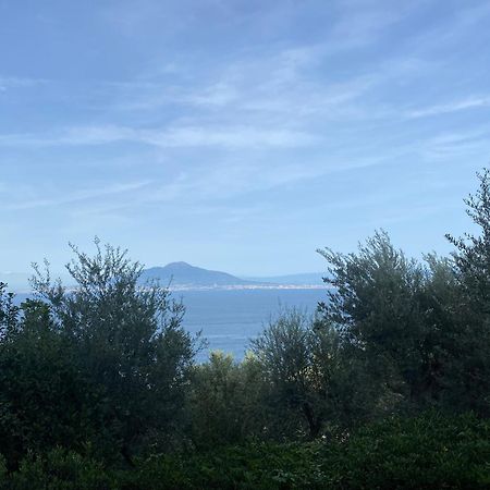 Hotel La Badia Σορέντο Εξωτερικό φωτογραφία