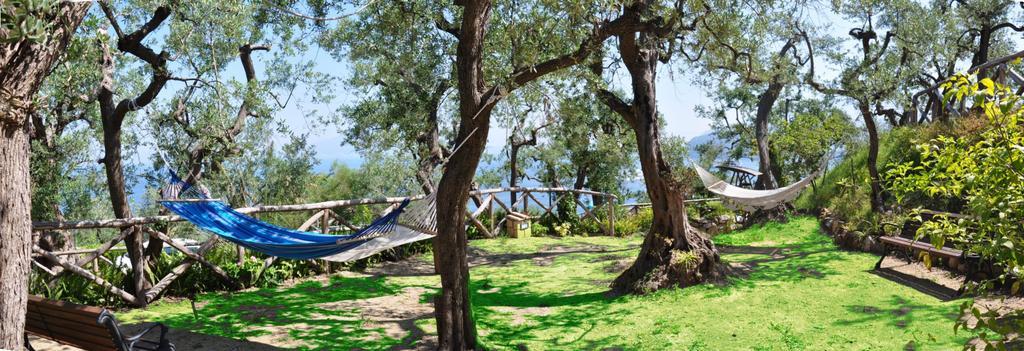Hotel La Badia Σορέντο Εξωτερικό φωτογραφία